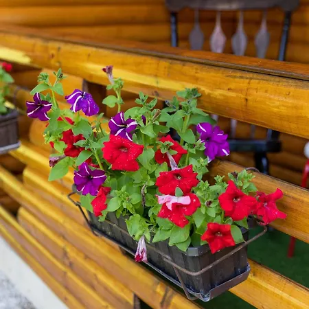 Vikendica Anastasija לקטסי