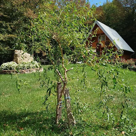 Vikendica Anastasija בית נופש *